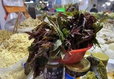 高达100元斤！很多湖南人喜欢的这种蔬菜